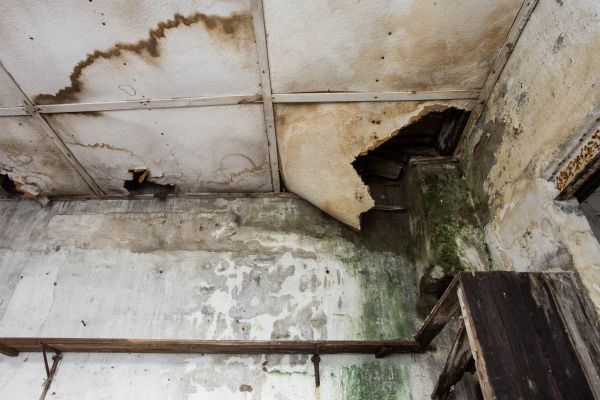 Cost of Water Damage Service in Port Charlotte