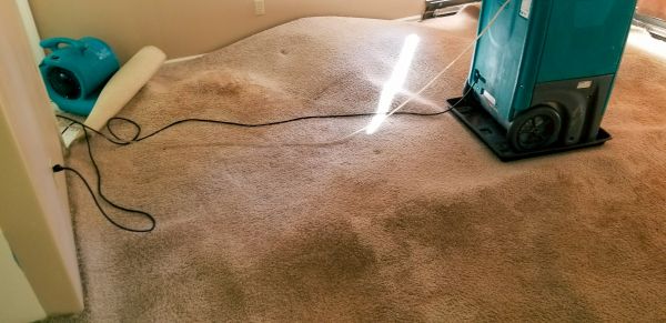 Cost of Flood Damage Cleanup in Port Charlotte