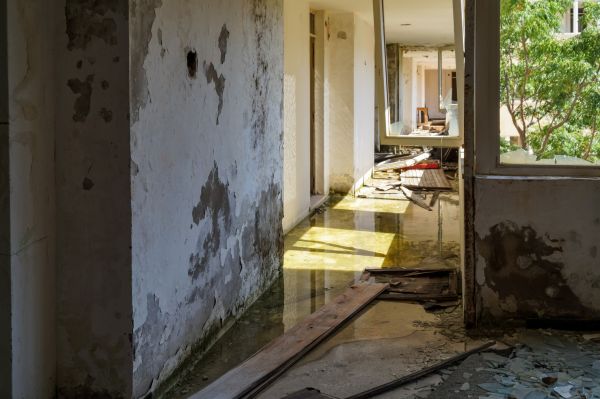 Cost of Water Removal Service in Port Charlotte