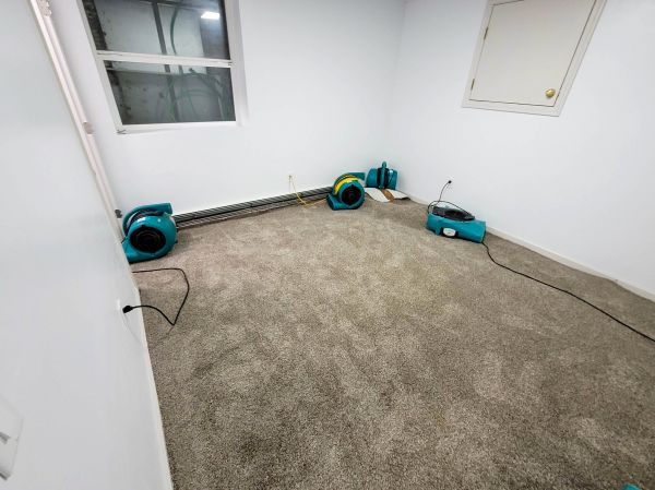 Flood Restoration Service in Port Charlotte