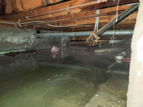 Cost of Water Mitigation Service in Port Charlotte