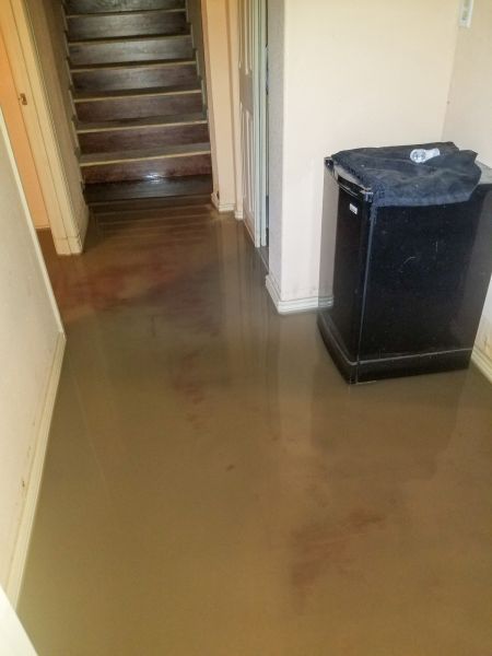 Cost of Emergency Water Removal in Port Charlotte