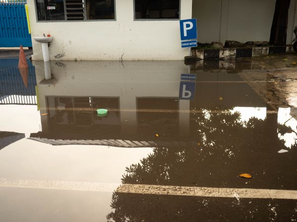 Cost of Storm Damage Repair in Port Charlotte