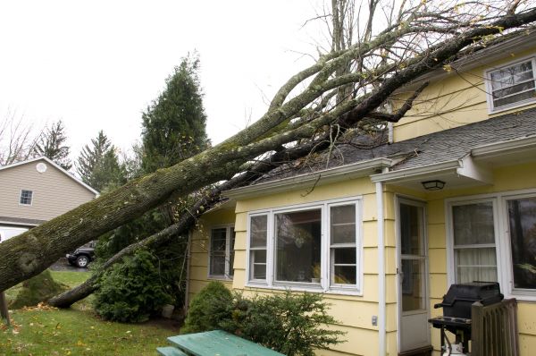Cost of Hurricane Damage Repair in Port Charlotte