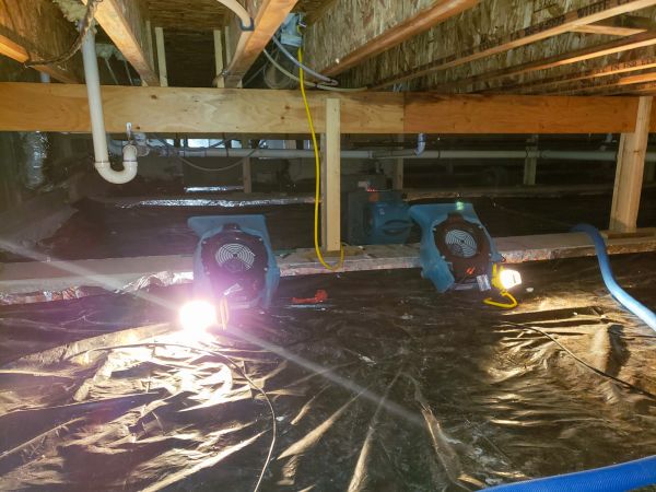 Cost of Crawlspace Water Removal in Port Charlotte