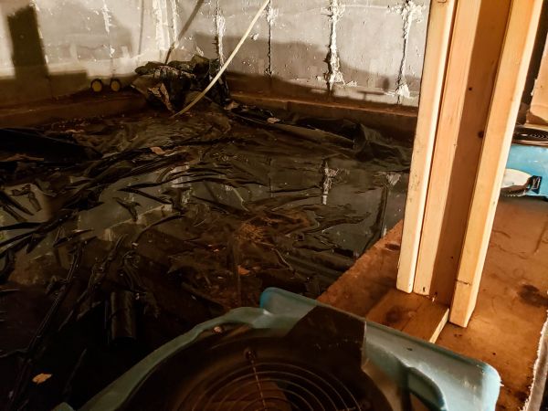 Cost of Crawlspace Water Cleanup in Port Charlotte